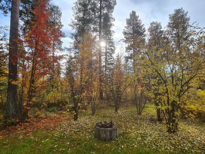 Ferienhaus für 8 Personen, mit Terrasse und Garten sowie Sauna, mit Haustier in Lappland (Schweden) - 3