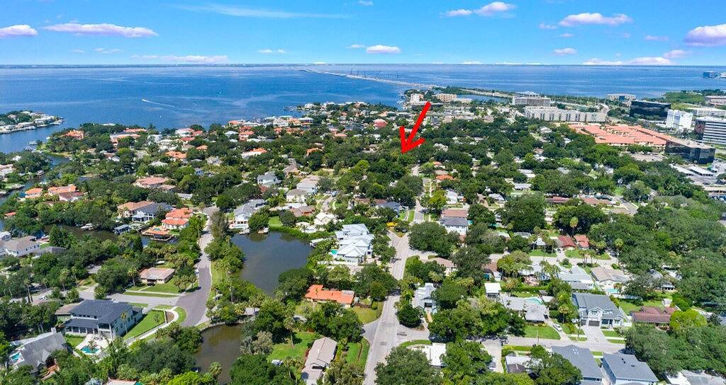 Luxe Executive Home Heated Pool, Outdoor Fireplace,Guesthouse!! in South Tampa, Tampa