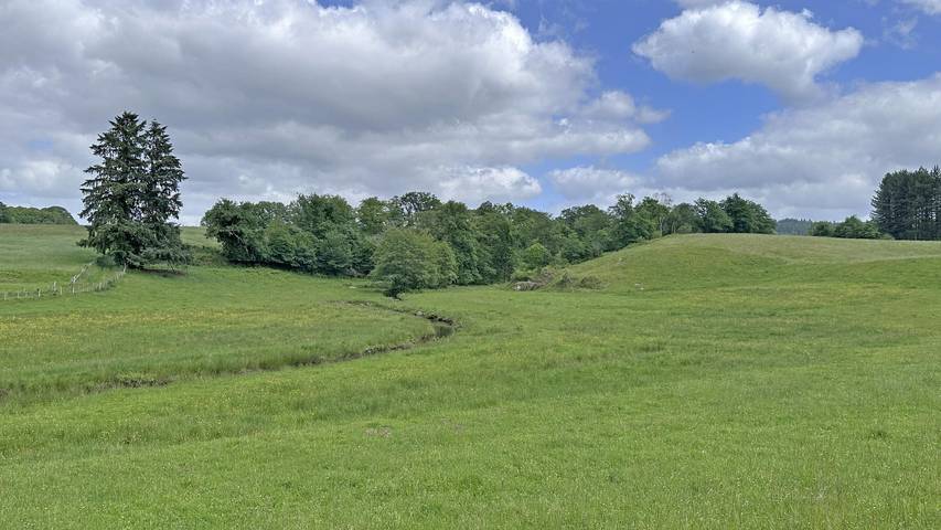 Le Loup de Chabannes in Compreignac, Bellac region