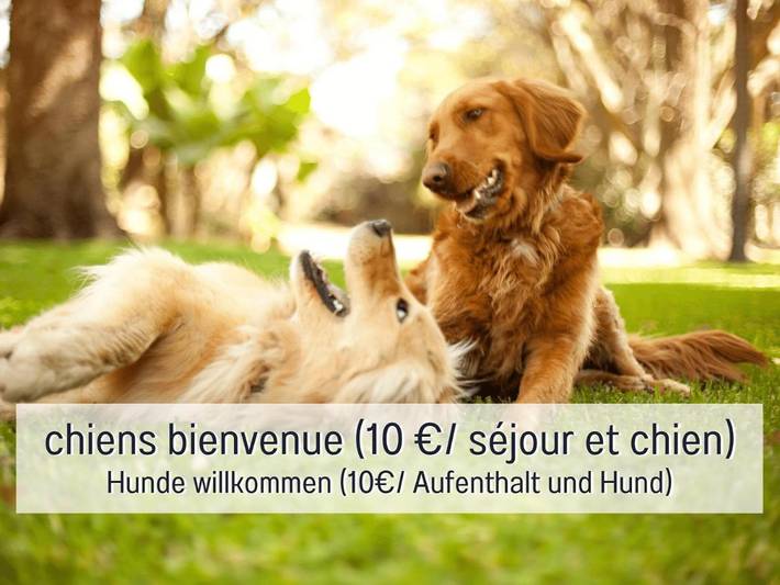 Gîte pour 15 personnes, avec vue et jardin, adapté aux familles à La Chapelle-devant-Bruyères - 2