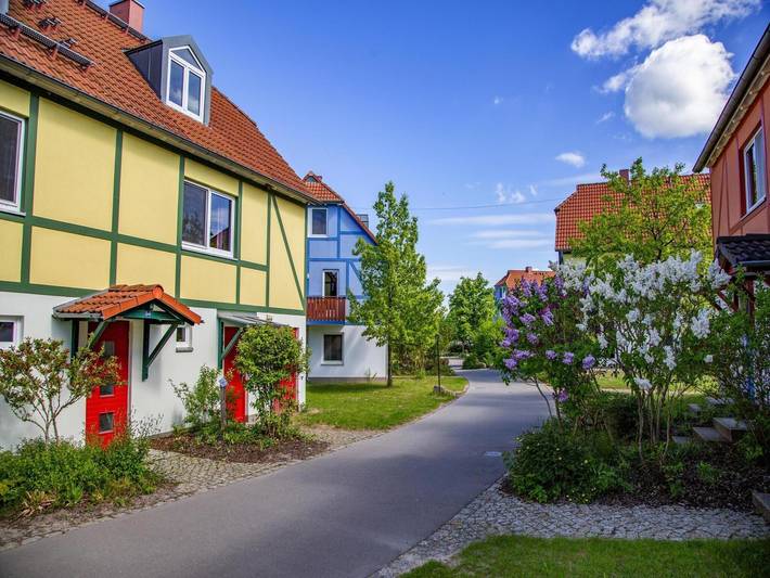 Ferienpark für 4 Personen, mit Pool und Terrasse sowie Sauna, mit Haustier in Mecklenburgische Seenplatte - 2