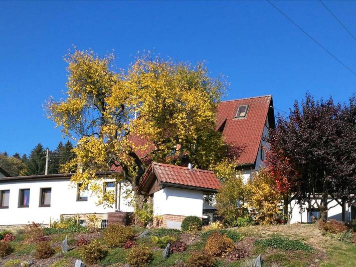 Ganze Ferienwohnung, Ferienwohnung Auf der Sonnenseite - Ferienwohnung mit 2 Schlafräumen und Kamin in Zwota, Klingenthal