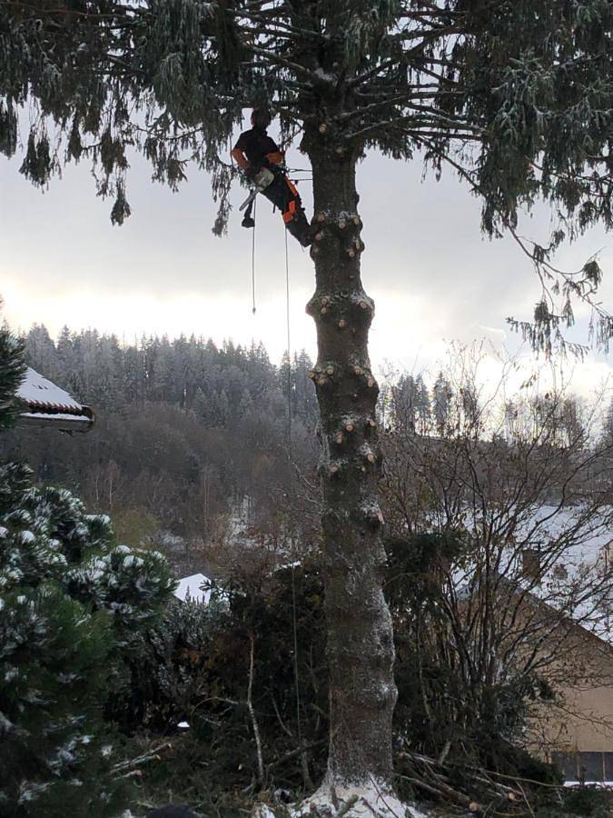 Gîte pour 4 personnes, avec vue ainsi que balcon et jardin à Mélisey - 3