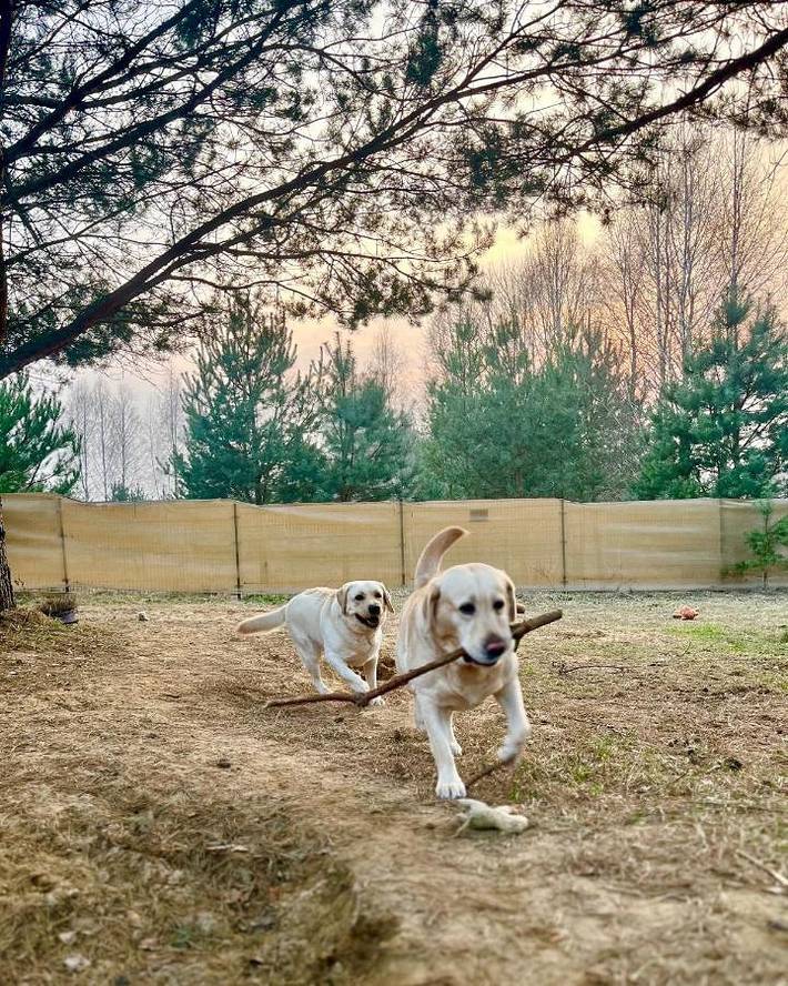 Ferienhaus für 2 Personen, mit Pool und Whirlpool sowie Terrasse in Polen - 3