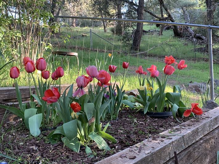 Vacation rental for 15 people, with yard, with pets in San Diego County