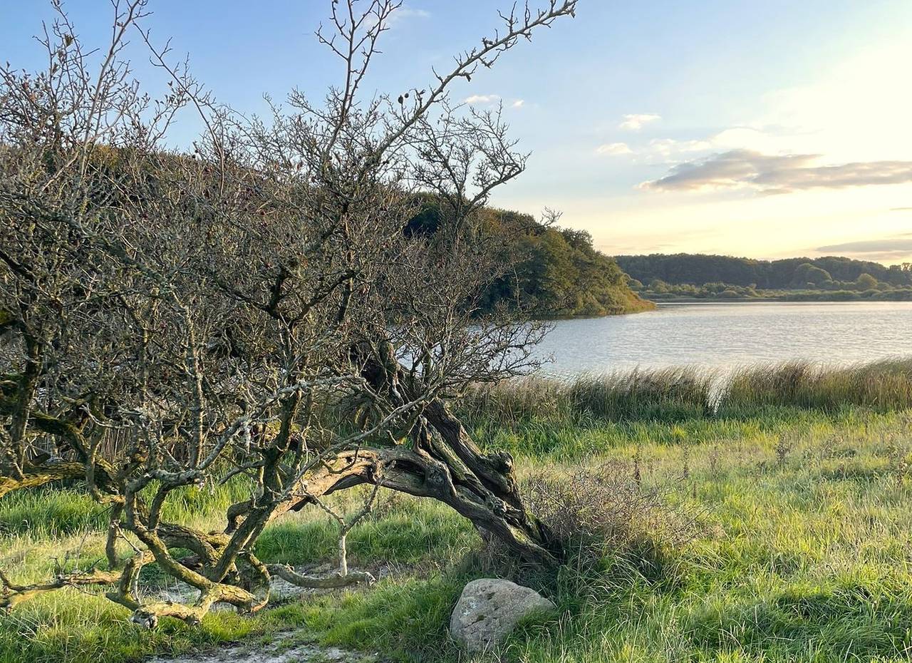 Naturnahe Reetdachkate mit Kamin, Spielhaus & Feuerstelle in Husby, Schleswig-Flensburg