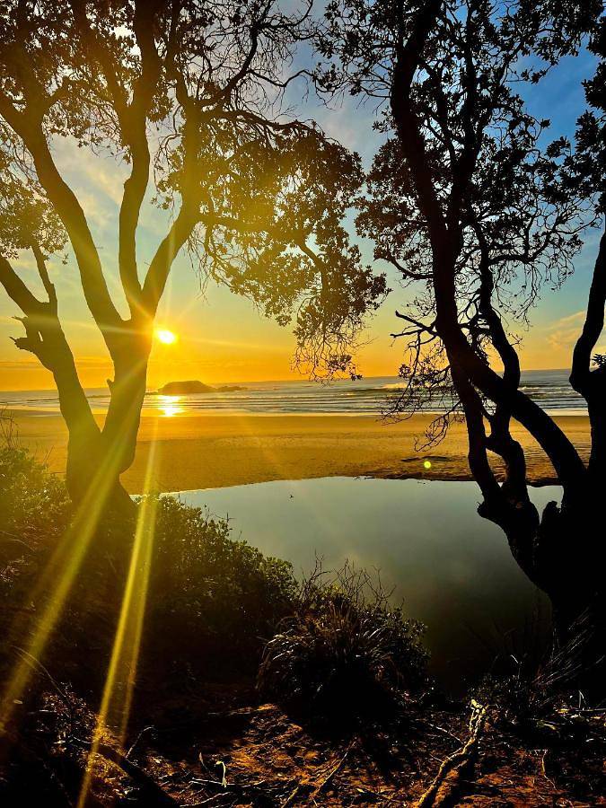 Villa pour 16 personnes, avec jardin et piscine ainsi que jacuzzi et sauna dans Australie - 3