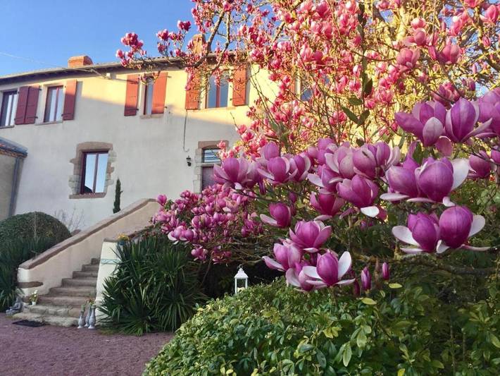 Location de vacances pour 5 personnes, avec Terrasse et Jardin ainsi que Piscine et Vue à Montfaucon-Montigné - 3