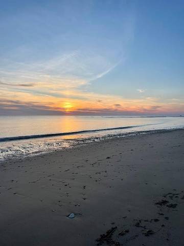 Cottage pour 4 personnes, avec jardin et vue dans Plage des Sables-Vignier