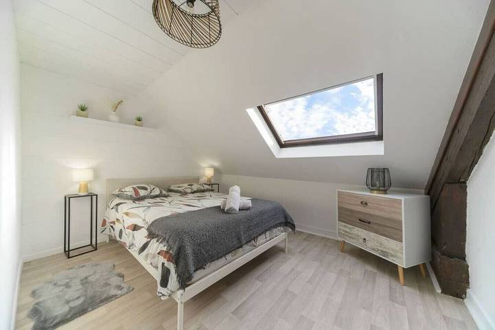 Gîte pour 4 personnes, animaux acceptés dans Centre Culturel Valery Larbaud Vichy - 2