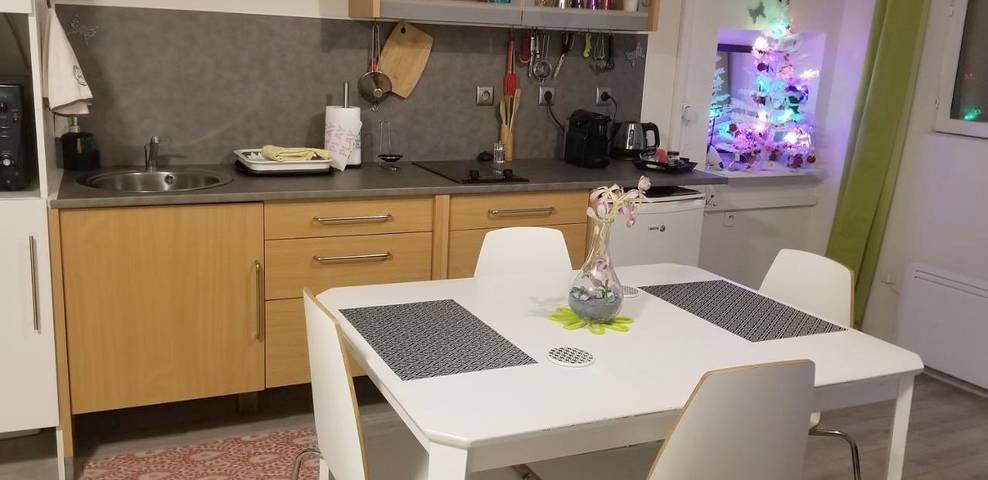 Gîte pour 6 personnes, avec terrasse et vue dans Saint-Martin-la-Plaine