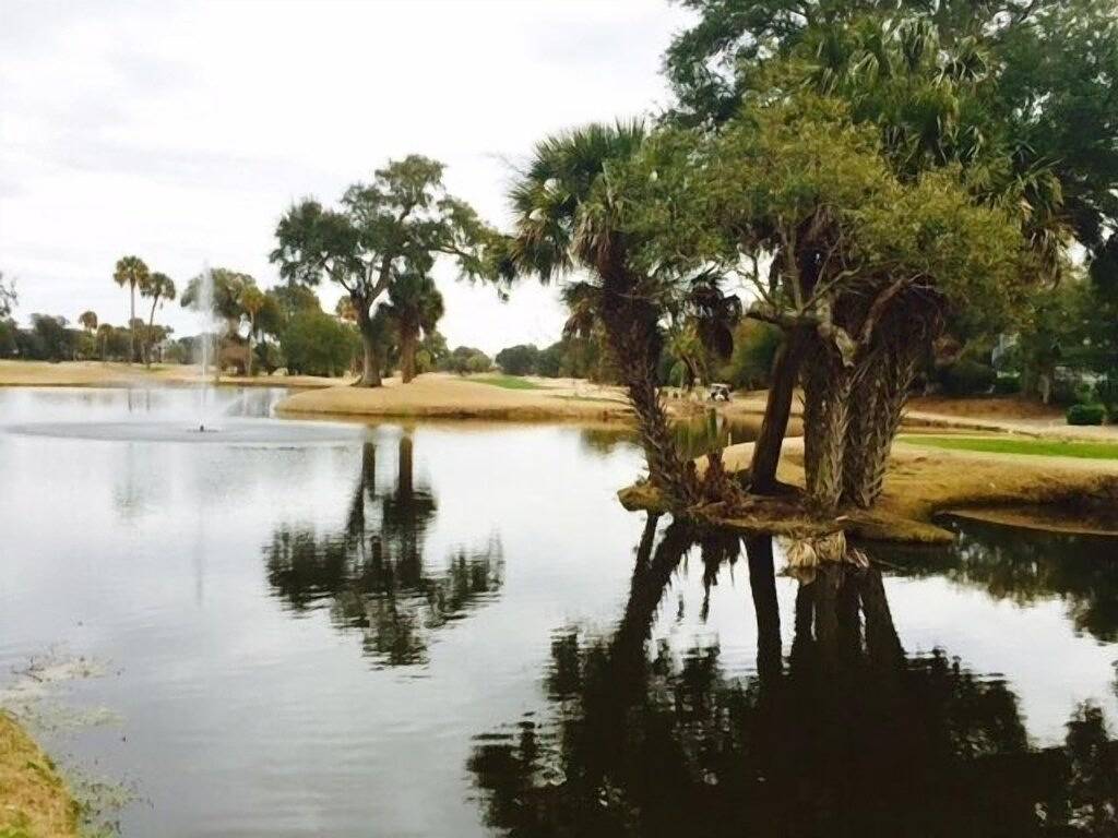 Vacation House for 6 Guests in Isle of Palms, South Carolina Lowcountry