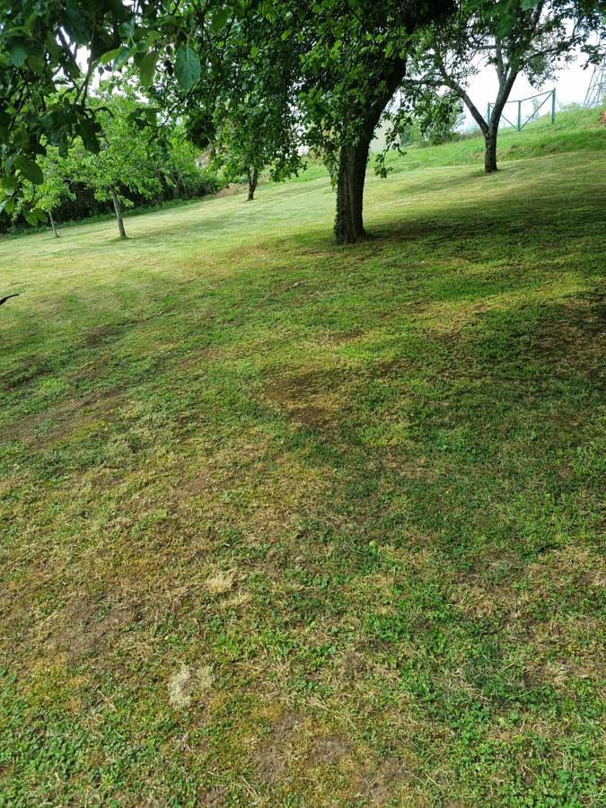 Location de vacances pour 6 personnes, avec jardin et jacuzzi à Mouzon - 4