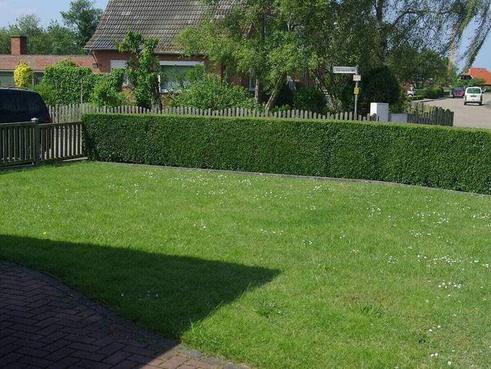 Ferienhaus für 8 Personen, mit Garten auf Borkum - 3