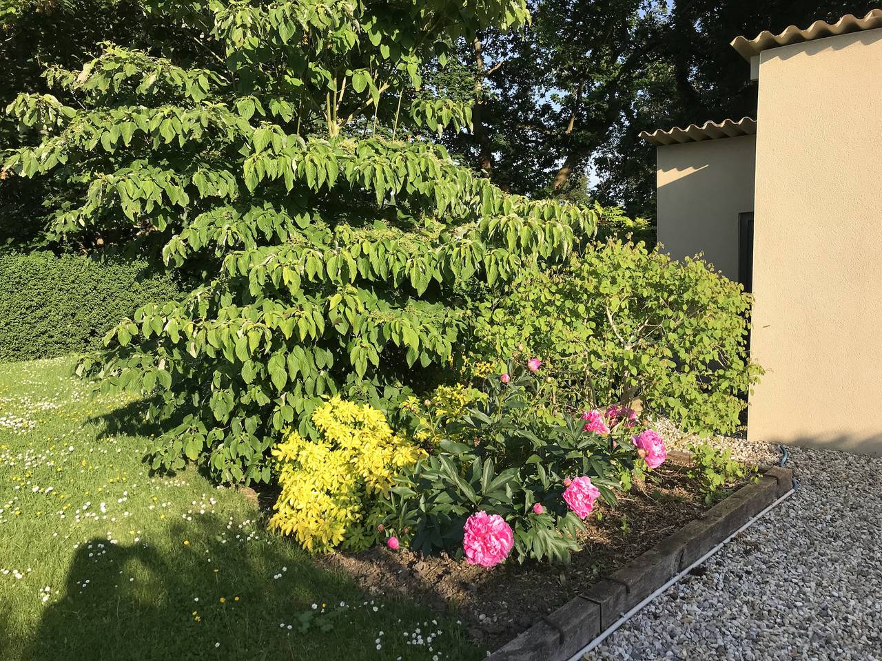 Rose Marie in Varengeville-sur-Mer, Dieppe en omgeving