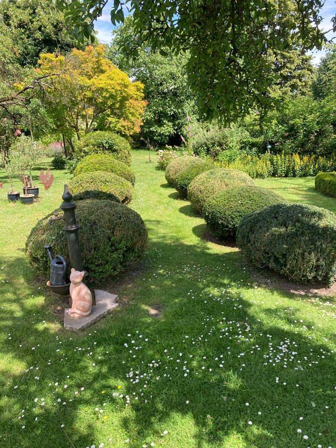 Ferienhaus für 2 Personen, mit Terrasse und Garten sowie Ausblick in Bergen (Niedersachsen) - 2