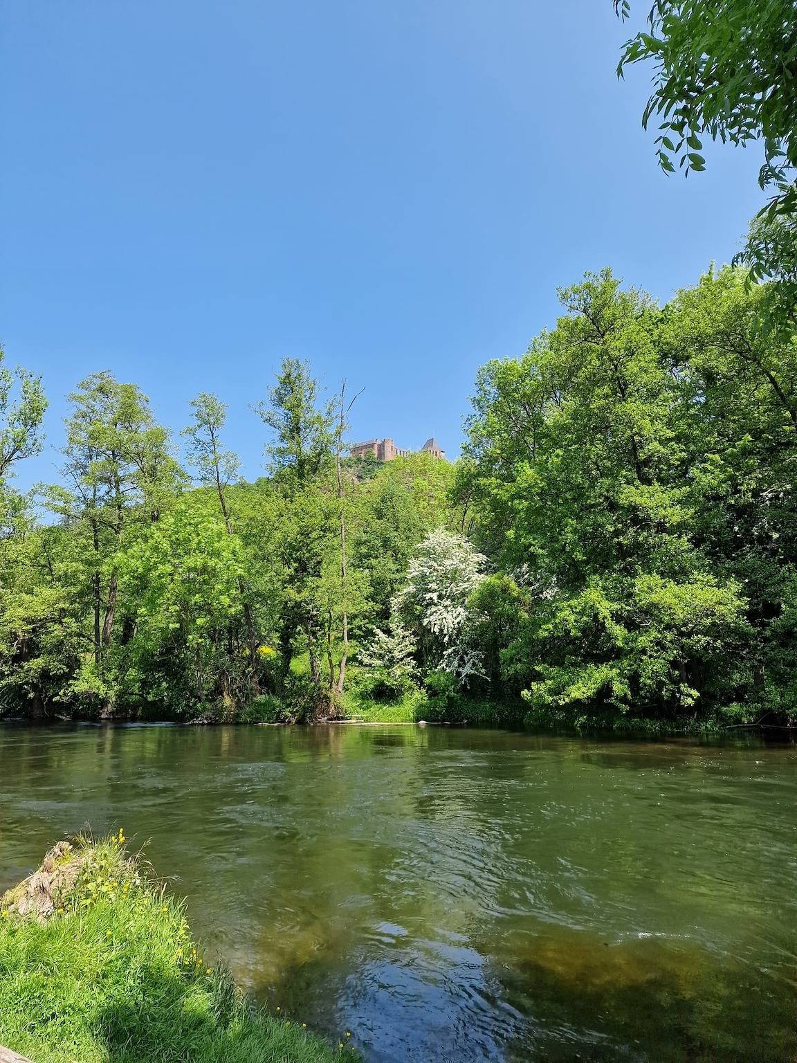 Wohnfass Rur 1013 in Nideggen, Naturpark Hohes Venn-Eifel