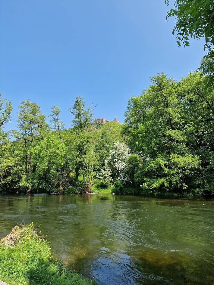 Ferienwohnung für 4 Personen, mit Garten und Sauna in Nideggen - 2