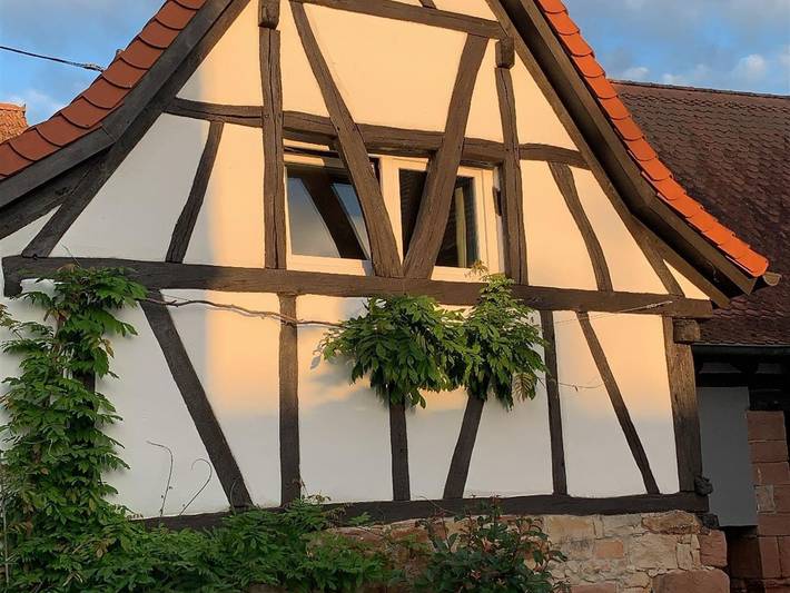 Ferienwohnung für 4 Personen, kinderfreundlich in Trifelsland