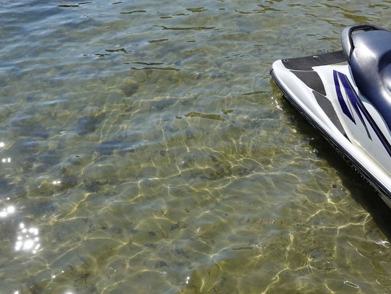 Feriendorf Silz im Kiefernwald mit eigenem Strandzugang in Silz, Fleesensee