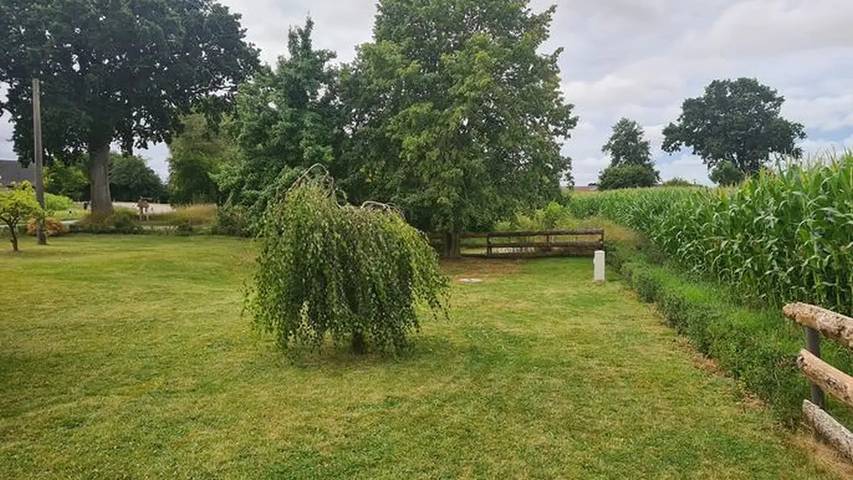 Ferienhaus für 7 Personen, mit Sauna und Terrasse sowie Garten in Esgrus - 4