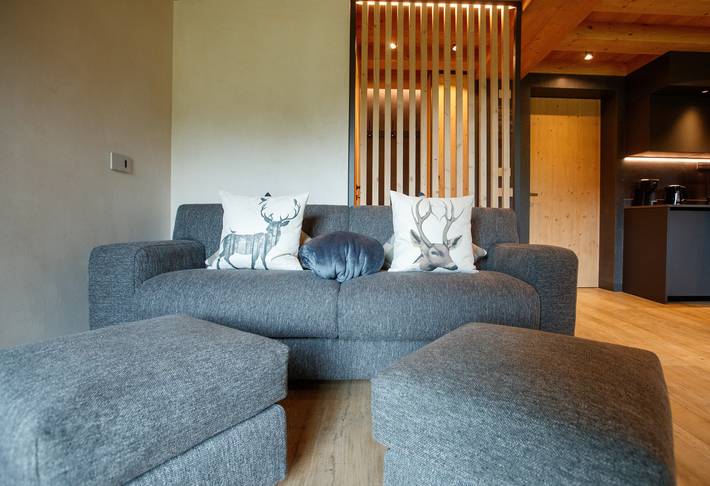 Chalet für 4 Personen, mit Sauna und Garten, kinderfreundlich - 1