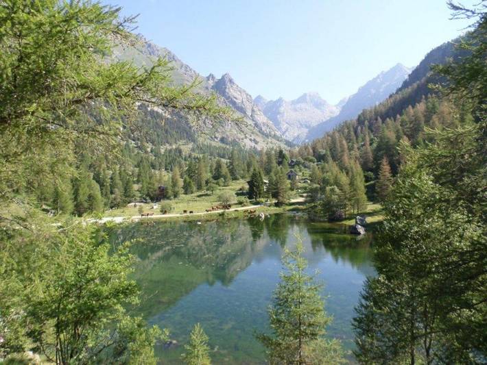 Chalet pour 6 personnes, avec jardin en Provence-Alpes-Côte d'Azur - 4