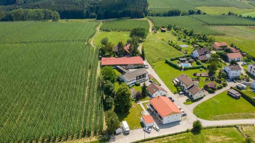 Ganze Wohnung, Holledau Apartments Familie Gmeineder - Apartment mit Terrasse im Hauptgebäude in Au in der Hallertau, Hopfenland Hallertau