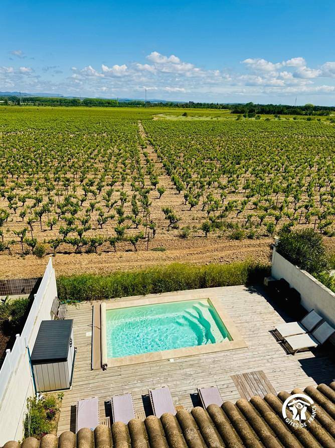 Gîte pour 12 personnes, avec jardin et piscine, animaux acceptés à Saint-Nazaire-d'Aude - 2