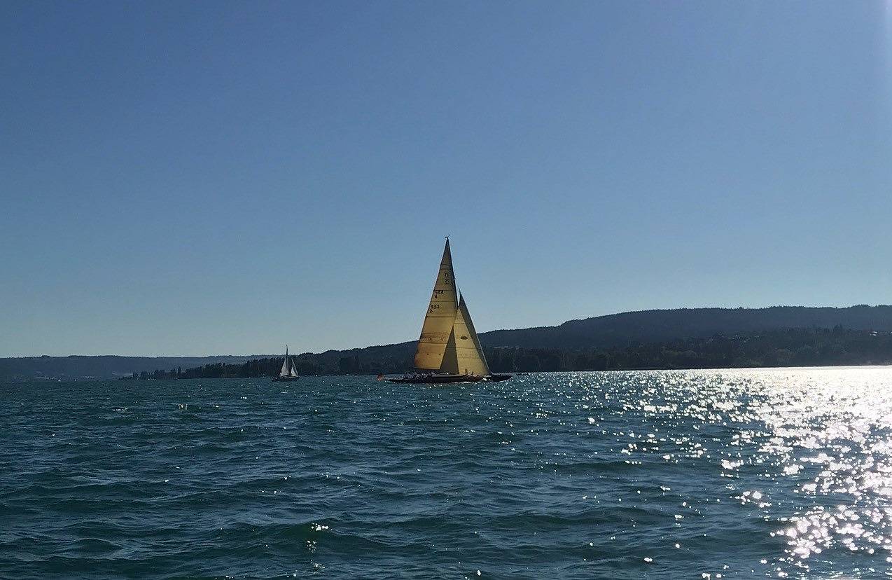 Entire holiday apartment, Joos Boardinghouse - Ferienwohnung Eg mit 40qm, 1 Schlafzimmer für max. 2 Personen in Radolfzell, Radolfzell am Bodensee