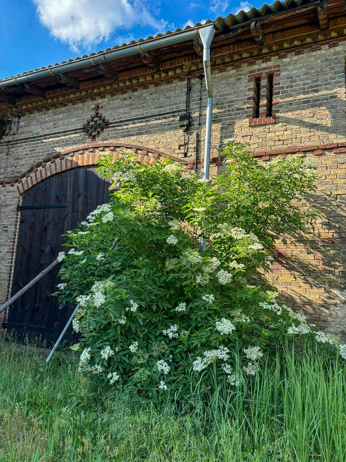 Idyllic hideaway in the countryside in Marienwerder, Barnim Nature Park