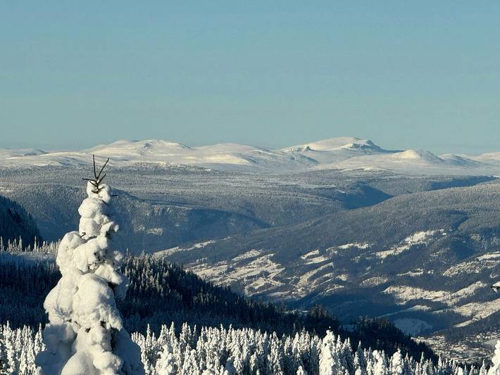 Berghütte mit Aussicht und Platz für alle in Øyer