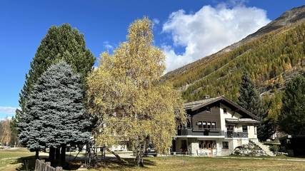 Ferienwohnung für 8 Personen in Saas-Grund, Zermatt - Mattertal & Umgebung, Bild 3