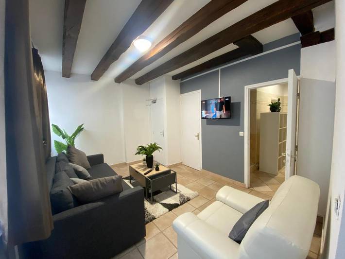 Gîte pour 16 personnes, avec terrasse, animaux acceptés à Azay-le-Rideau - 4