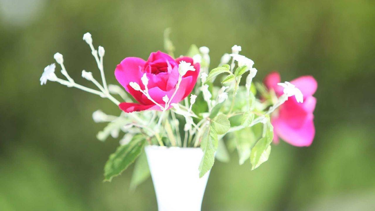 Ganze Ferienwohnung, Ferienwohnung für 6 Personen (75 m²) in Kochel am See in Kochelsee