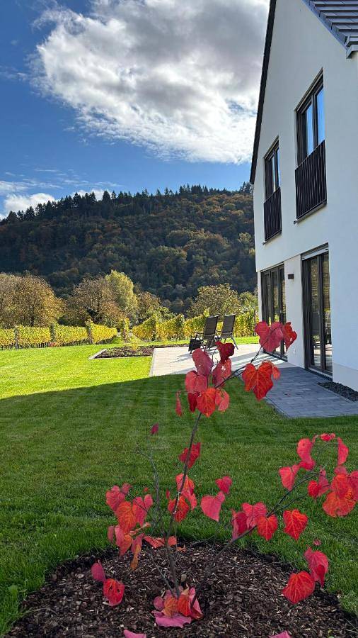 Ferienhaus für 6 Personen, mit Ausblick und Garten in Ellenz-Poltersdorf - 4