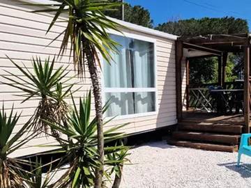 Wohnwagen für 4 Personen in Mandelieu-la-Napoule, Côte d'Azur, Bild 1