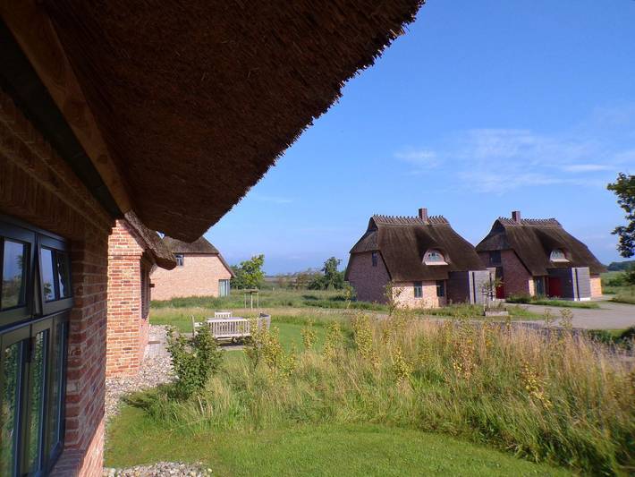 Ferienhaus für 5 Personen, mit Ausblick und Sauna sowie Garten und Seeblick in der Geltinger Birk - 3