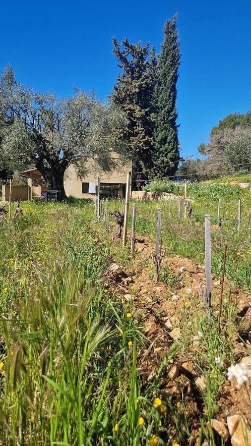 Villa pour 5 personnes, avec Terrasse à Ollioules - 4