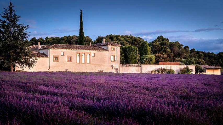 Location de vacances pour 2 personnes, avec jardin et piscine, animaux acceptés à Valréas - 2