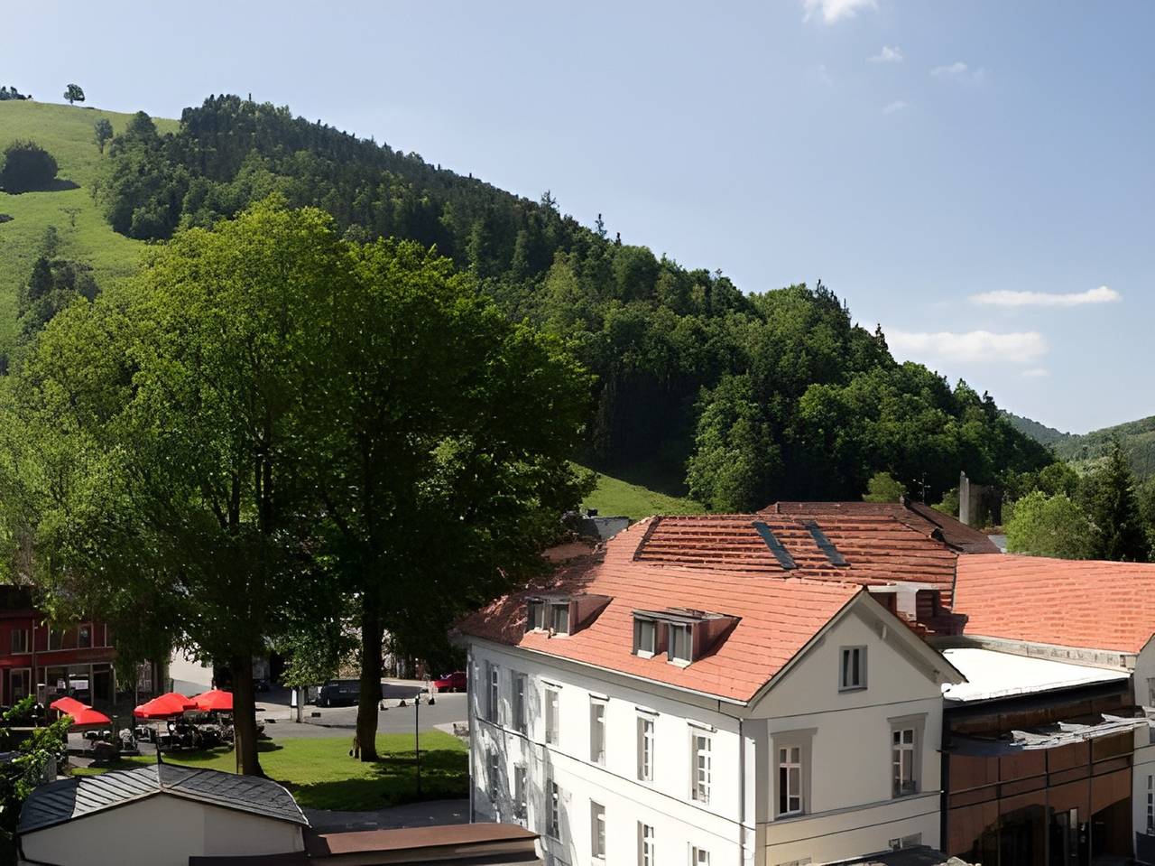 Ganze Wohnung, Ferienwohnung Silberbergblick mit Wi-Fi in Todtnau, Südschwarzwald