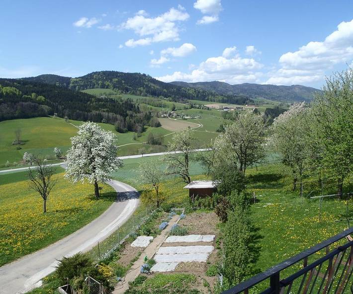 Ferienhaus für 5 Personen, mit Garten, kinderfreundlich in Niederösterreich - 3
