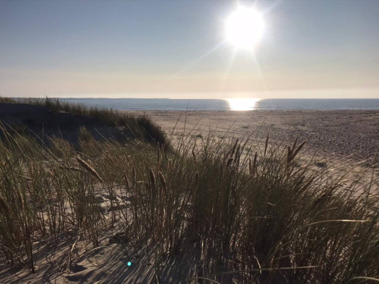 Moderne tilflukt naer Vadehavet in Sønderstrand, Tagholm