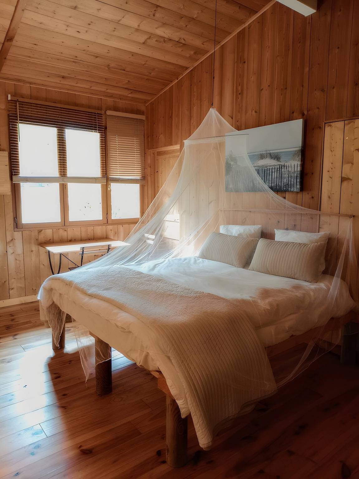 Chambre d’hôtes La Forestière 3 avec accès indépendant dans un cadre verdoyant in Lac de Lacanau, Lacanau