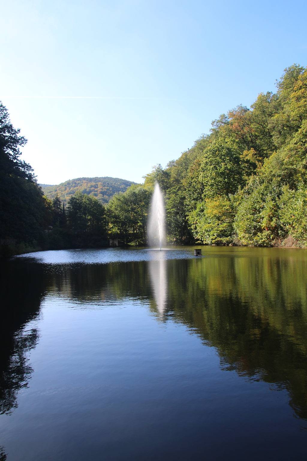 Landhaus ideal 1 in Wachenheim, Pfälzer Rheinebene