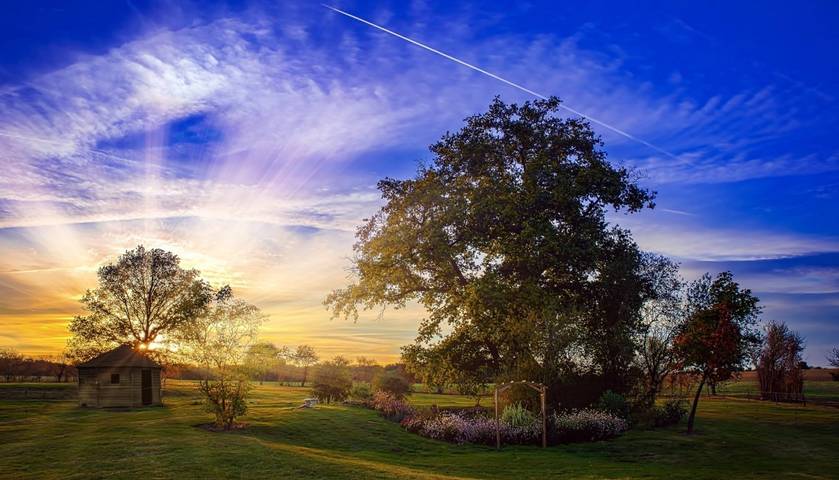 Chambre d’hôte pour 3 personnes, avec jardin, animaux acceptés dans Loiret - 4