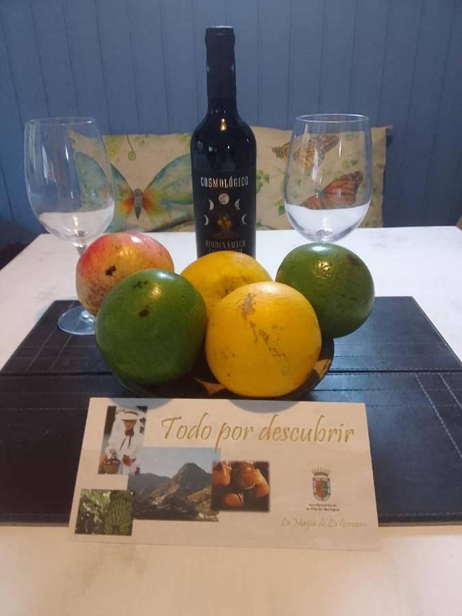 Casa rural para 4 personas, con vistas y jardín, Se admiten mascotas en La Gomera - 3