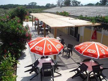 Bungalow pour 6 Personnes dans Castellare-di-Casinca, Haute-Corse, Photo 4