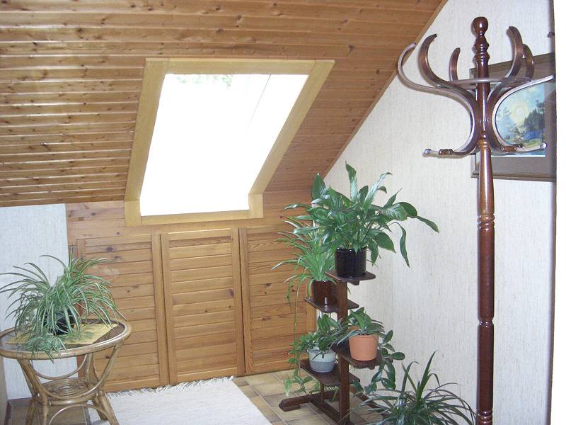 Ganze Ferienwohnung, Ferienwohnung Kohmann - 1-Zimmer-Fewo, Dg, 51 m² in Markelfingen, Radolfzell am Bodensee