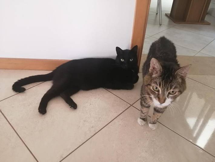 Chambre d’hôte pour 2 personnes, avec terrasse dans Praia - 3